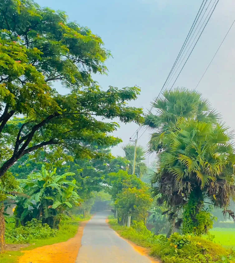 ইনশাআল্লাহ 🙂🤲🌿#প্রকৃতির_ছোয়া #foryou #highlight #fyp #trending 