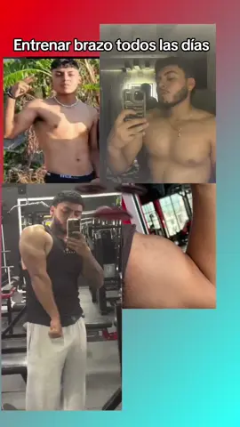 entrenar brazo todos los días nucleus de brazo todos los días ejercicios de brazo músculos de brazo