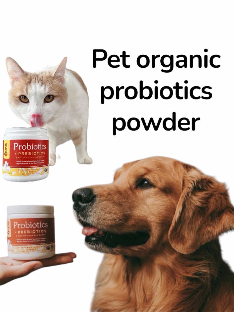 #ferapets #ferapetorganics #petprobiotics #probioticpowder #catsoftiktok 