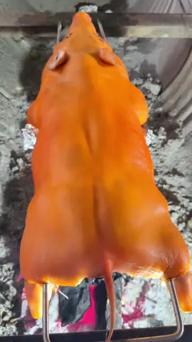 Heo nướng than củi tự nhiên.nên bao thơm ngon nhé qý dị.a e Tây Ninh cân heo quay+nướng.alo e