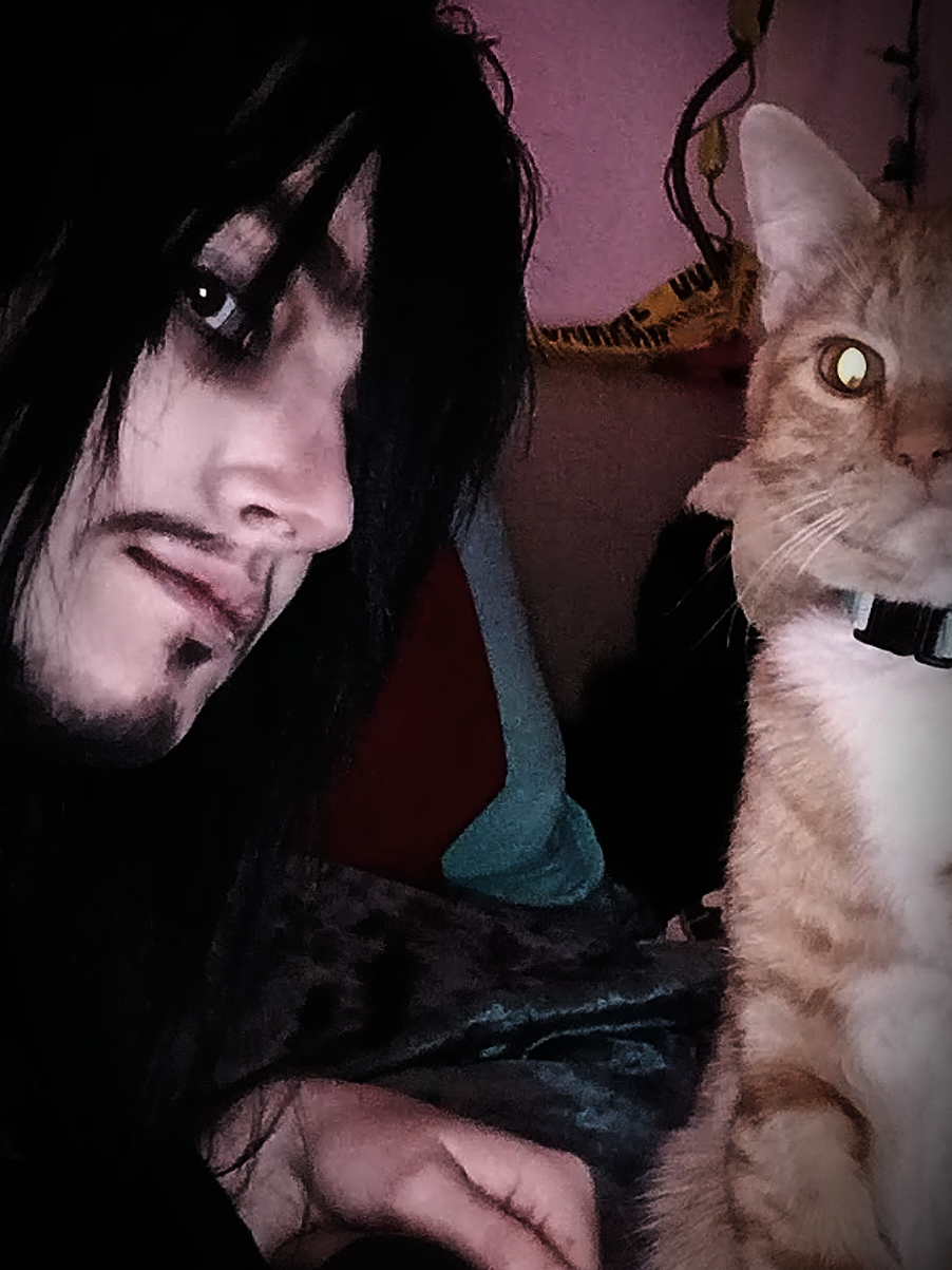 stupid video with kitty  . . #eraserhead #bnha #mha #cosplay #fyp 