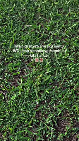 🀄️ #storytruk #sawittontiktok #fyp 