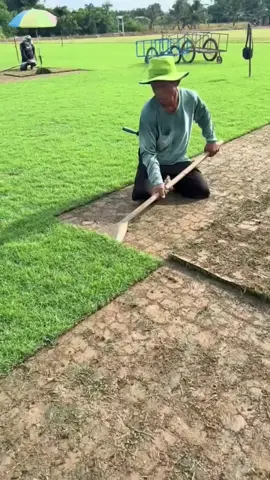 agro #sergin_oficial 