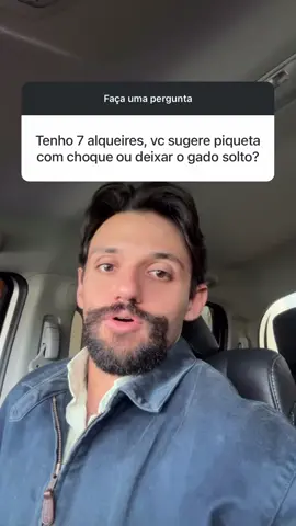 Tenho 7 alqueires, você sugere piquetar com choque ou deixar o gado solto? #gadodecorte #pecuaria #agropecuaria #gado #agronegocio