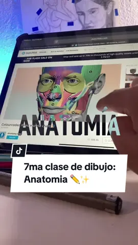 ¿Cómo dibujar anatomía? - Séptima clase de dibujo 😼✏️✨ El día de hoy aprenderemos la forma correcta de dibujar anatomía. Si quieres más contenido como este déjame un comentario 😄 #dibujo #anatomia #tutorialdedibujo #sketchbook 