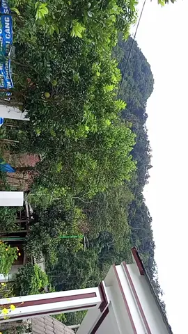 👉ngày đầu xây kênh. mọi người yêu thương đi qua cho mình xin 1 ❤️ 1cmt 1 sao chép.🤩 👉cùng tương tác với nhau.cố gắng ạ ❤️ #ngaydautapxaykenhtiktok #tuongtackenhtiktok  #mebimxaykenh 