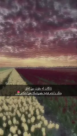 😍🌷.#dhuke_zaxo_akre_arbil_iraq #foryou #acc? 