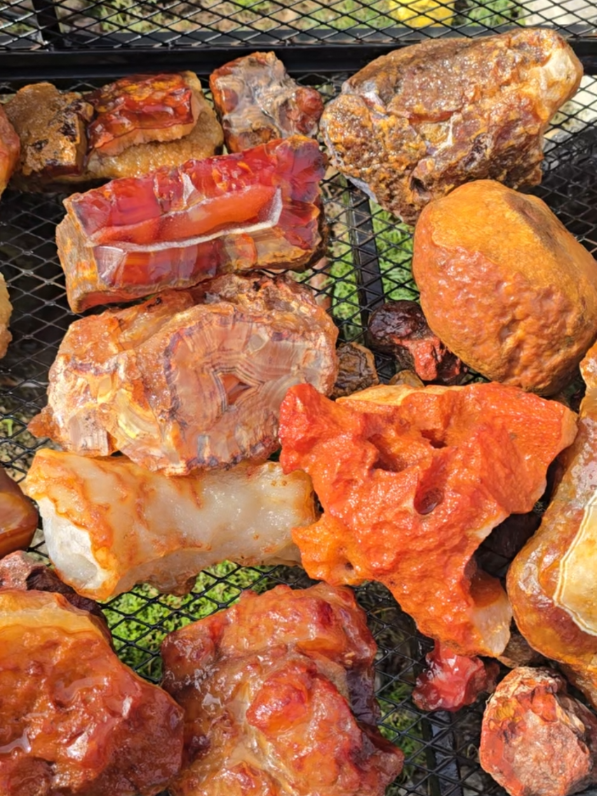 Agates and Carnelian I've collected that look like food!! I've been a rock hunter for years and people have always said that my finds look like food! Not seeing they don't because I agree! Definitely giving meat and candy 🤣 I even started bbqing them on the grill at the end #agate #rockhounding #carnelian #pnw #fyp 