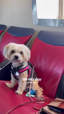 #onthisday 
