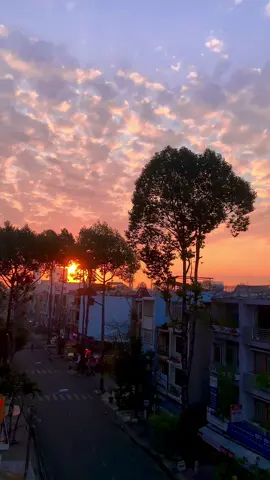Dẫu biết sẽ đến lúc này, ngày ánh nắng xuân qua đi… #phienlatinhlang #thuychi #tamtrang #nhachaymoingay #minhthanh_08 