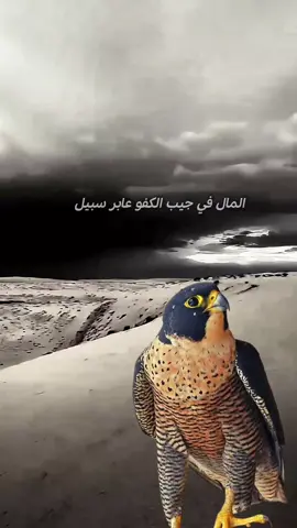 #اشعار #وقصائد #CapCut #اكسبلورexplore 