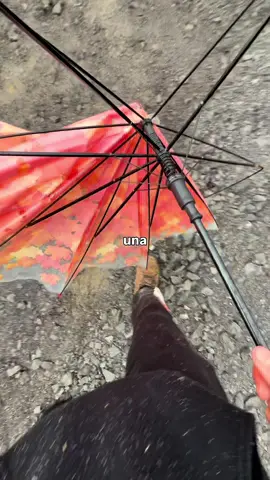 El más guapo de la chamba dice 🗣️🗣️🗣️ #camaro #framing #carpintero #construccion #chevroletcamaro 