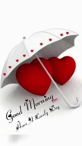 #lovely morning please like me and follow back #🙏🙏💯💯🌷🐦‍⬛🥀💐#🌹#پا گل لڑکی #