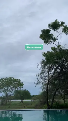 Feel like a loneliness 