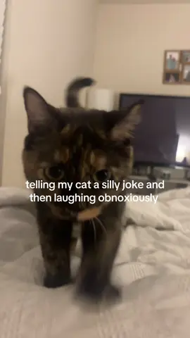 i fear that’s just my normal laugh 
