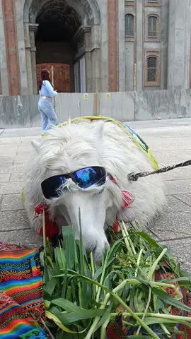 todo sea para relajar la mente 🤭😂