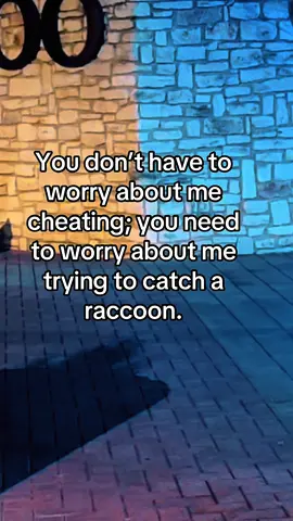 Based on a true story… 🦝 #raccoon #trashpanda #friendshaped #mine #foryoupage 