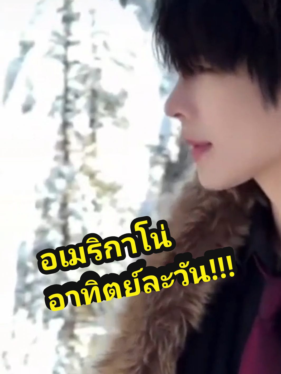 ตอบกลับ @jae_renjialun_lucheng  อาทิตย์ละวันพอมั๊ย!!! #มะม่วงโรงเตี๊ยม  #นักเต้นเท้าไฟในตำนาน  #少洋  #เส้าหยาง