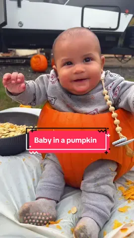 Baby in a pumpkin! 🎃 😍 #halloween #pumpkinseason #pumpkincarving #babyinapumpkin 