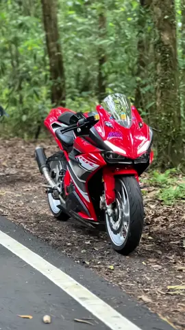 abcdddd🗿#cbr250rr 