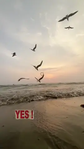 #اقتباسات_عبارات_خواطر_خووواطر 