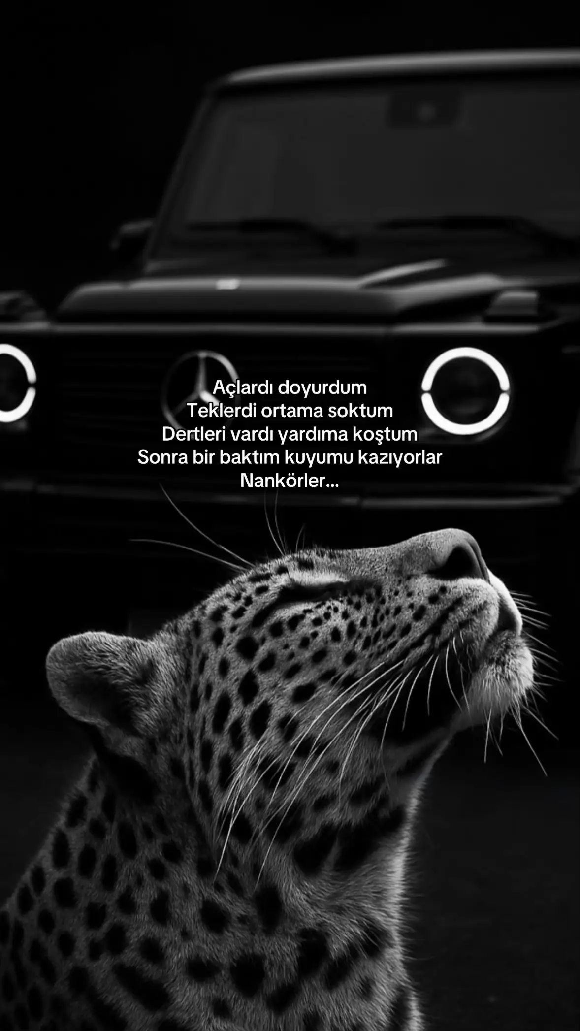 #fyppppppppppppppppppppppp #viralvideo #fpy_tiktok_viral #fyppppppppppppppppppppppp #fppppppppppppppppppppppp 