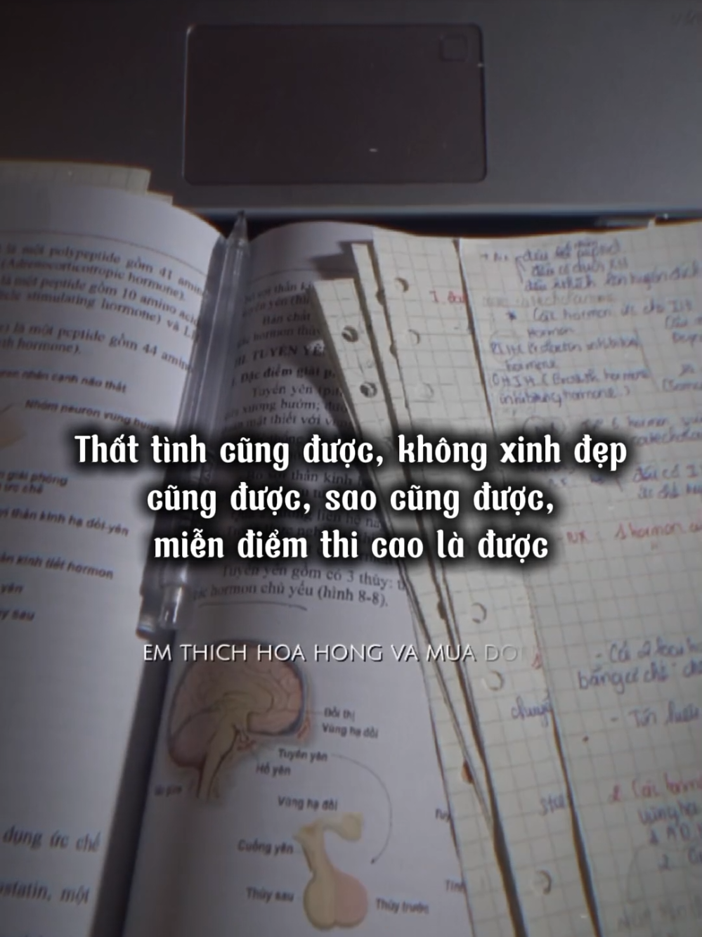 STUDY VLOG | ĐỘNG LỰC HỌC TẬP#độnglựchọctập #studyvlog 