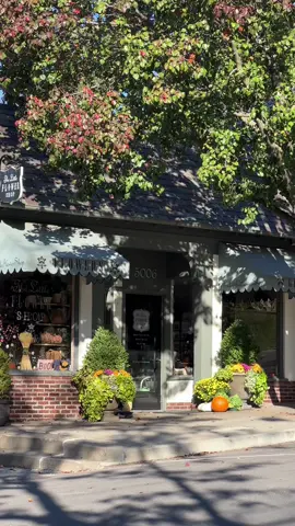 some pretty moments 🍂 #fall #autumn #oliviadean #fallfoliage 