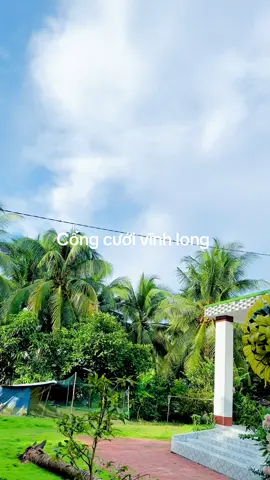 Cỗng cưới rồng phụng vĩnh long #xhuongtiktok #xh #congcuoirongphung #congcuoimientay #damcuoi 