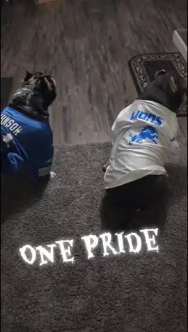 #fyp #detroitlions #nfl #abkc #detroit