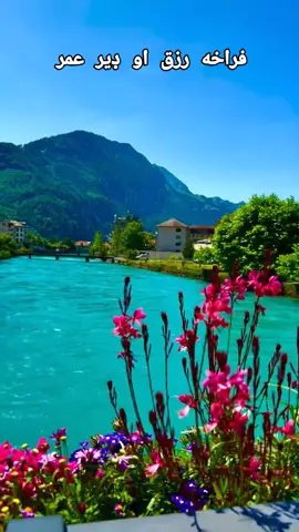 فراخه رزق او ډیر عمر