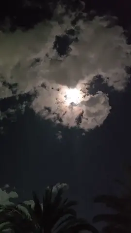 🌑