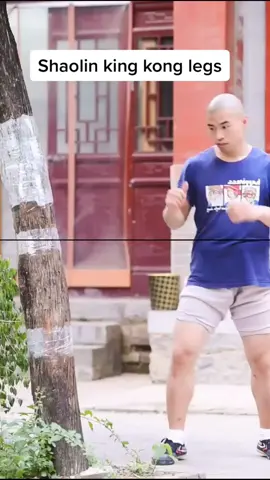 Do you remember the Shaolin King Kong legs #kungfu #sports #shaolin #shaolinkungfu #fyp  