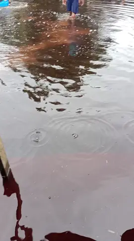 infokan dulu SEPONSOR dari bupati siak banjir Uda setinggi leher  ayam  #fyppppppppppppppppppppppp @aal @budi aja @TRISTAN 019 