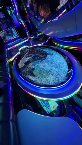 Lên cho anh em quả phòng xịn mịn, quẩy tưng bừng #karaoke #ktv #Topbeach #nightlife #party 
