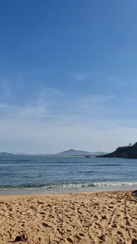 🍁TRĂNG TỎ HAI MIỀN🍁#xuhuongtiktok #viralvideo #trending #nhachaymoingay #capcut 