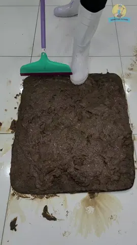 Part 1| Second Date Update; Brooke And Jubal In The Morning. #brookeandjubal #seconddateupdate #brookeandjubalinthemorning #foryou #fyp 