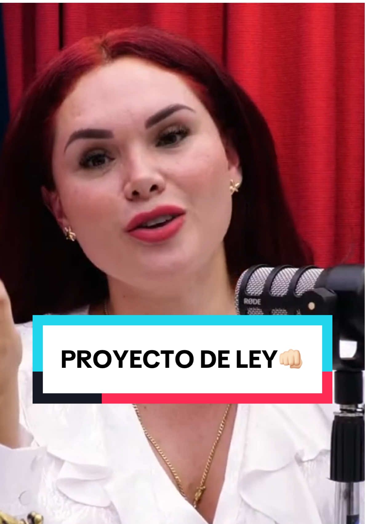 ¿Sabes cómo nace una ley en el Perú? 💭 No es magia, ni discurso… es trabajo técnico, debate y voluntad política. Por eso quiero que conozcas los pasos reales de un proyecto de ley — para que exijamos con conocimiento y no con desinformación. Porque muchos hablan de 