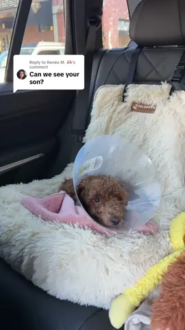 Replying to @Renée M. 🫶🏽 this is Chai!!