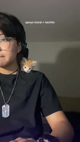me dejo la camiseta sucia, pero es el nachito se le perdona #migatito #mascota #gato #gatito