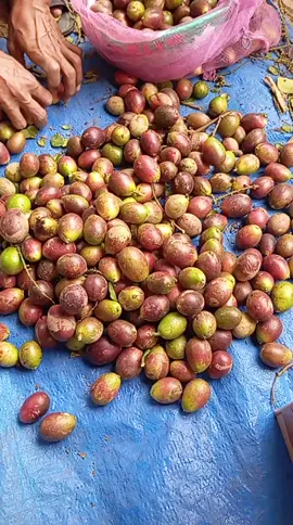 buah matoa ready merah kuning hijau  #fyppppppppppppppppppppppp  #matoapati  #semuaorangツ 