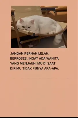 #katakatasedih #katakatabijak #fyp #viral #laguindia 