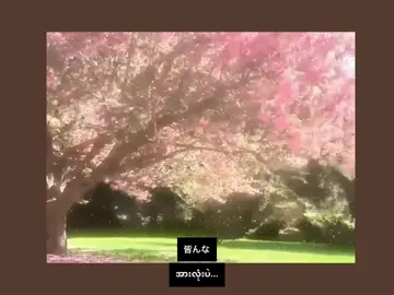 ရှင်တို့အရမ်းနားထောင်ချင်ကြတဲ့ကျွန်မရဲ့podcast 🤣 #ဂျပန်စာလေ့လာကြမယ် #fyppppppppppppppppppppppp #ဂျပန်စကားပြောလေ့ကျင့်ကြမယ်🇯🇵 #မြင်ပါများပီးချစ်ကျွမ်းဝင်အောင်လို့🤒🖤 