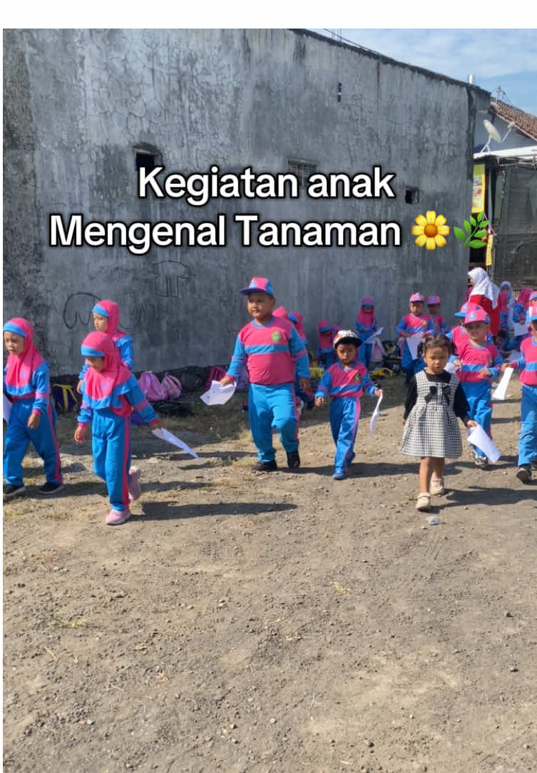 Kegiatan anak mengenal bagian-bagian tanaman 🌿🌼 #happykids #kegiatanpaud #tanaman #sekolahfavorit #anakhebat 