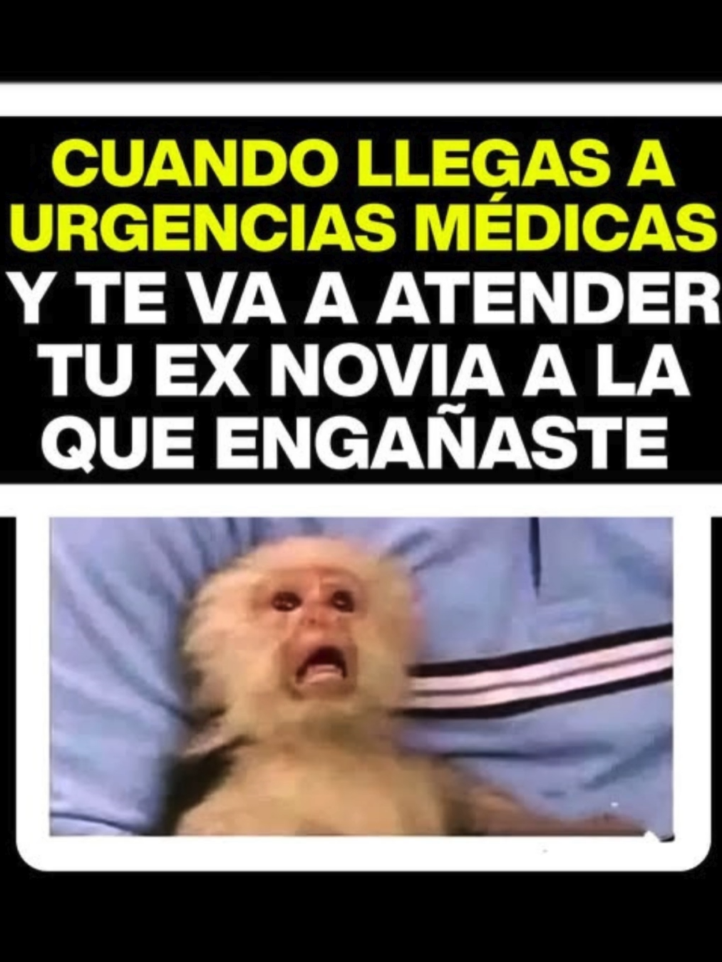La lista enumeralas una  por una 🤣🤣🤣🤣