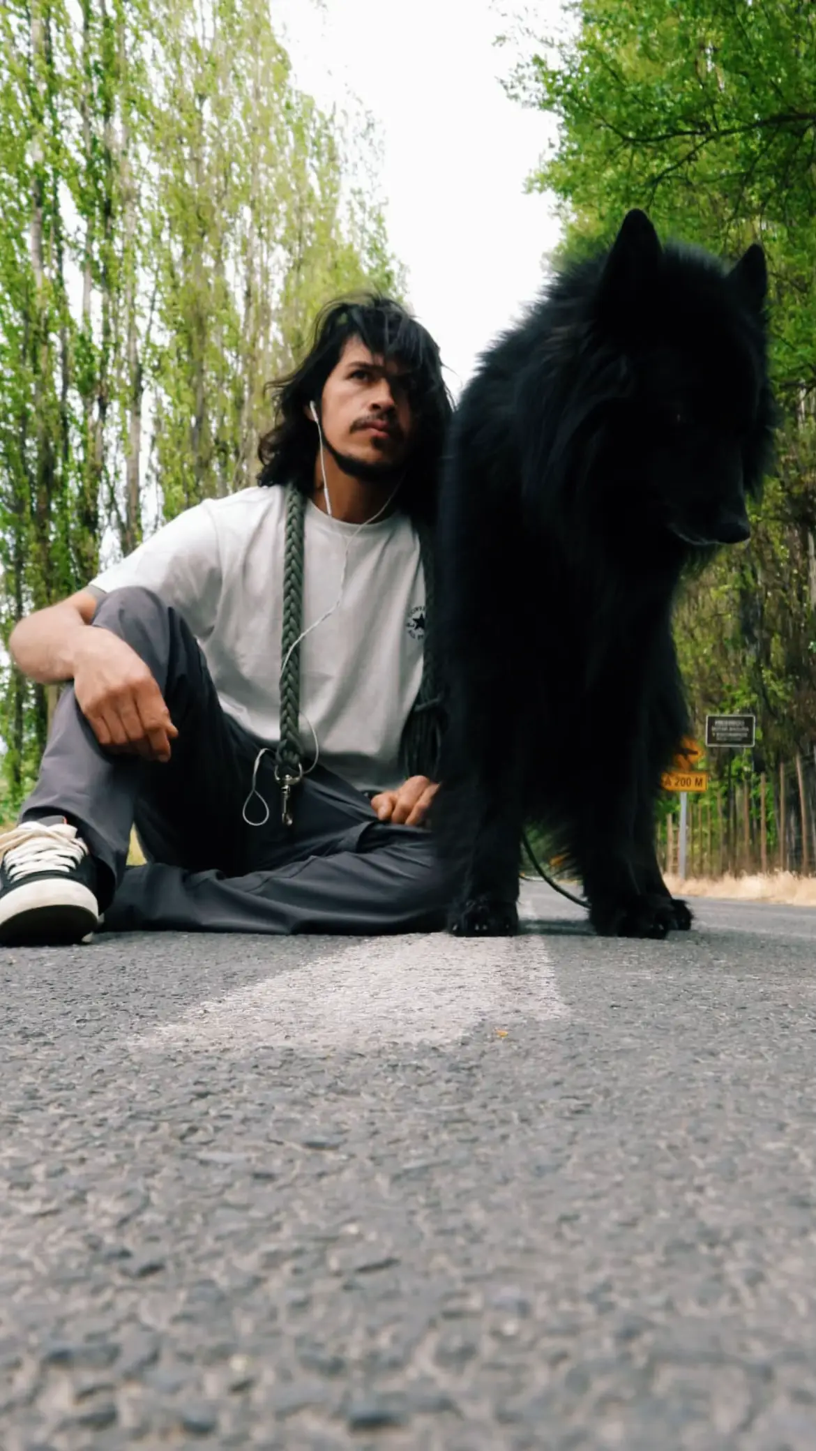 Drakito #foryour #pyp #pastorbelga #groenendael #paratiiiiiiiiiiiiiiiiiiiiiiiiiiiiiii 