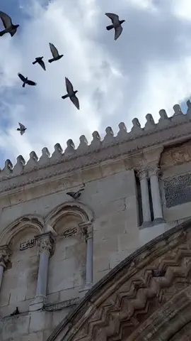 ###فلسطيني🇵🇸وافتخر##المسجد_الاقصى_المبارك_القدس_فلسطين🇵🇸