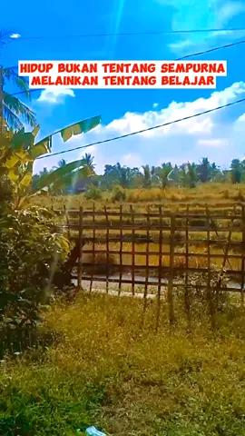 Hidup bukan tentang sempurna melainkan tentang belajar.  #BelajarHidupSederhana #MotivasiSetiapHari #ProsesBukanHasil
