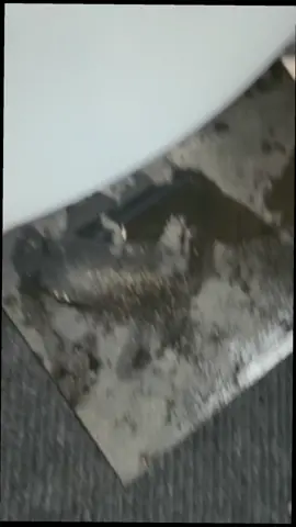 🎃🎃🎃🎃🎃🎃🎃🎃🎃 #spookyseason 