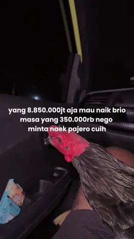 🔥menyala pakde🔥